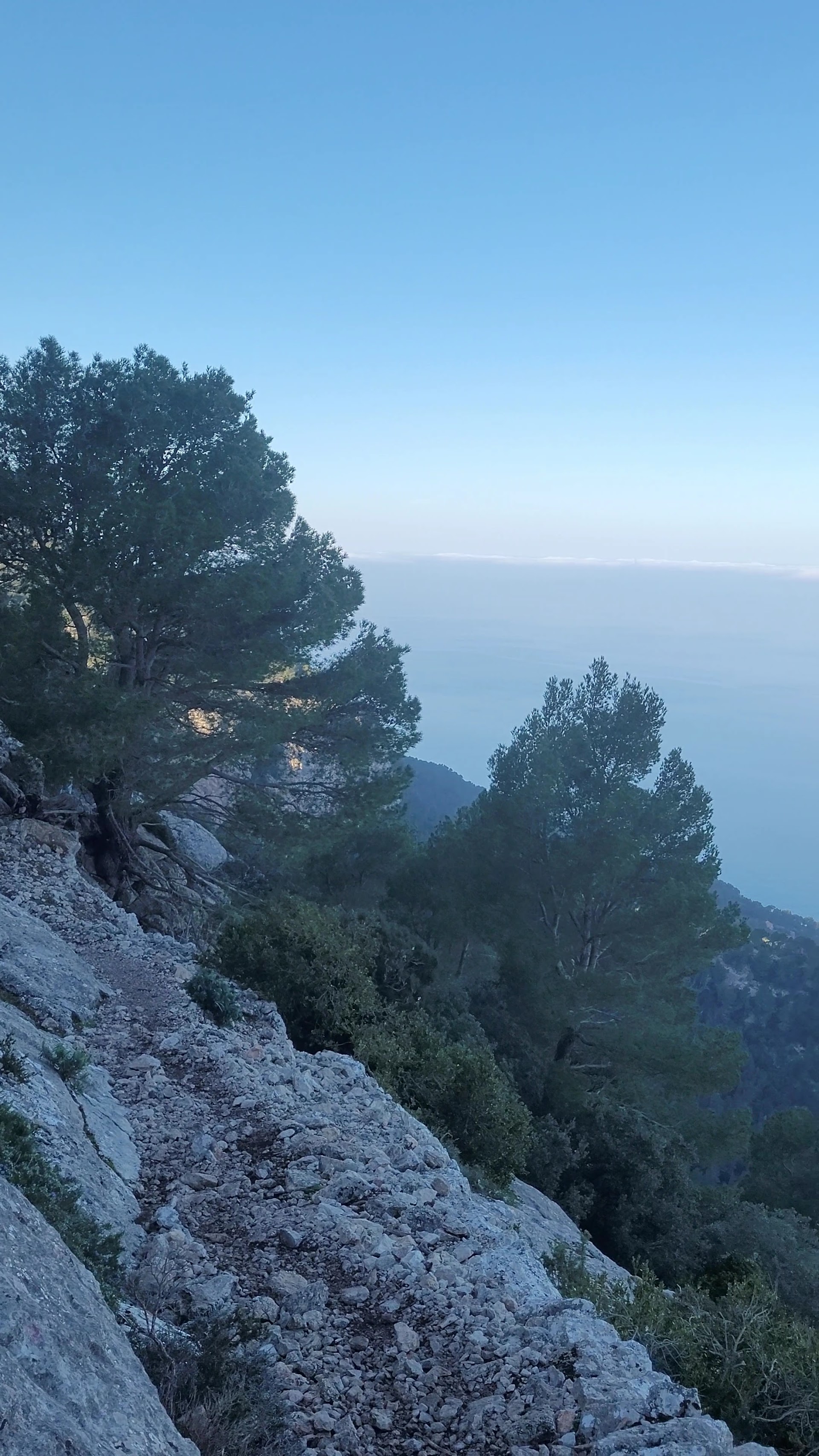 Hiking Tours in Deià photo 2