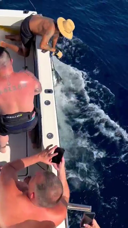 Fishing Charter in Callao Salvaje photo 5