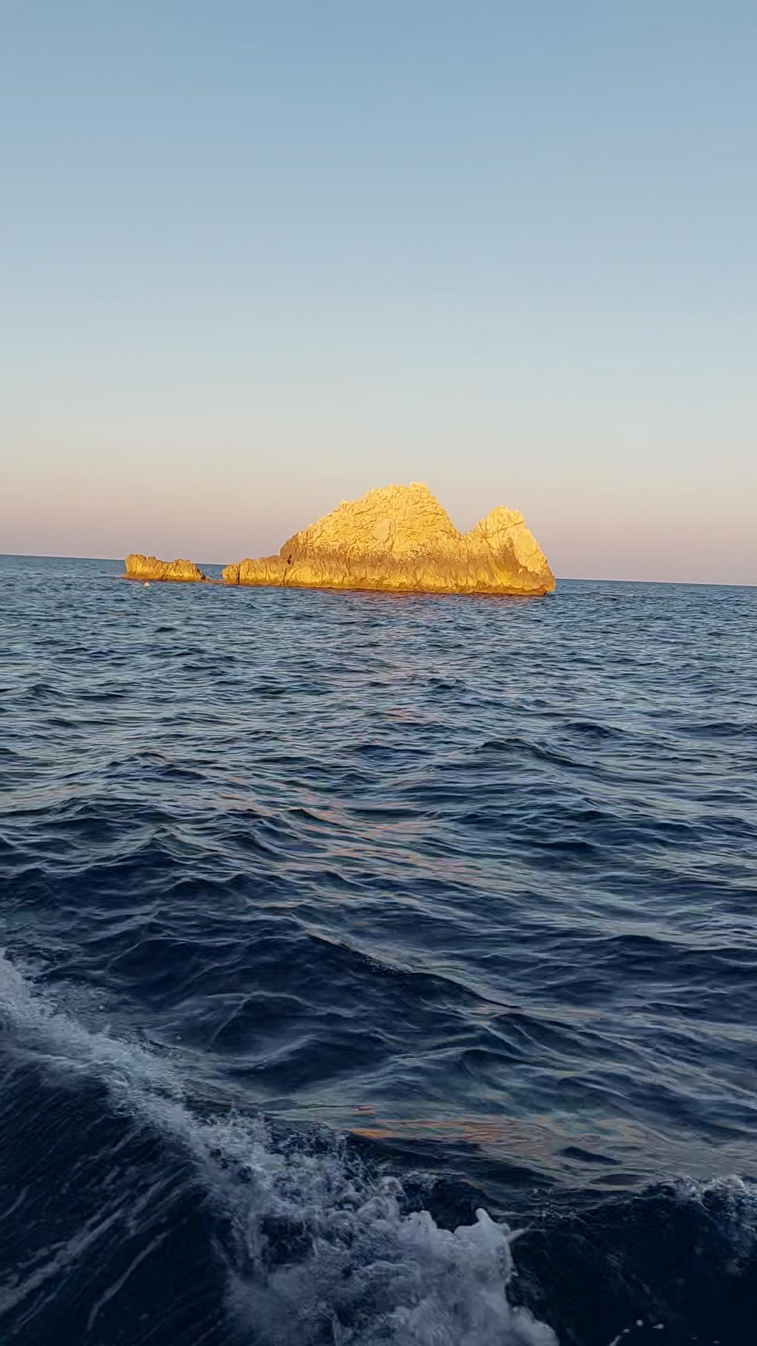 Dolphin Watching in Cala Ratjada photo 2