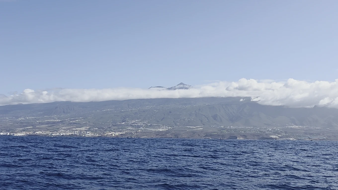 OPERA 60 boat excursions