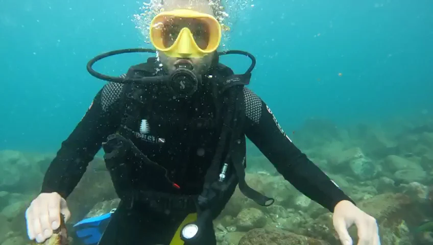 BIG FISH Dive Center Tenerife