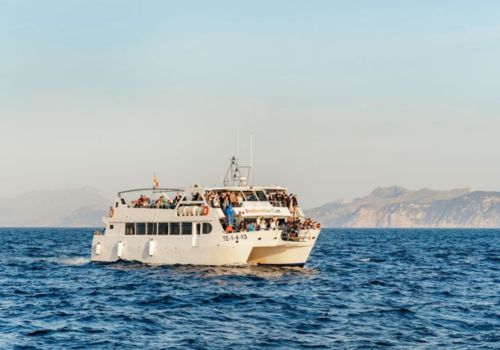 Dolphin Watching in Colònia de Sant Pere photo 4