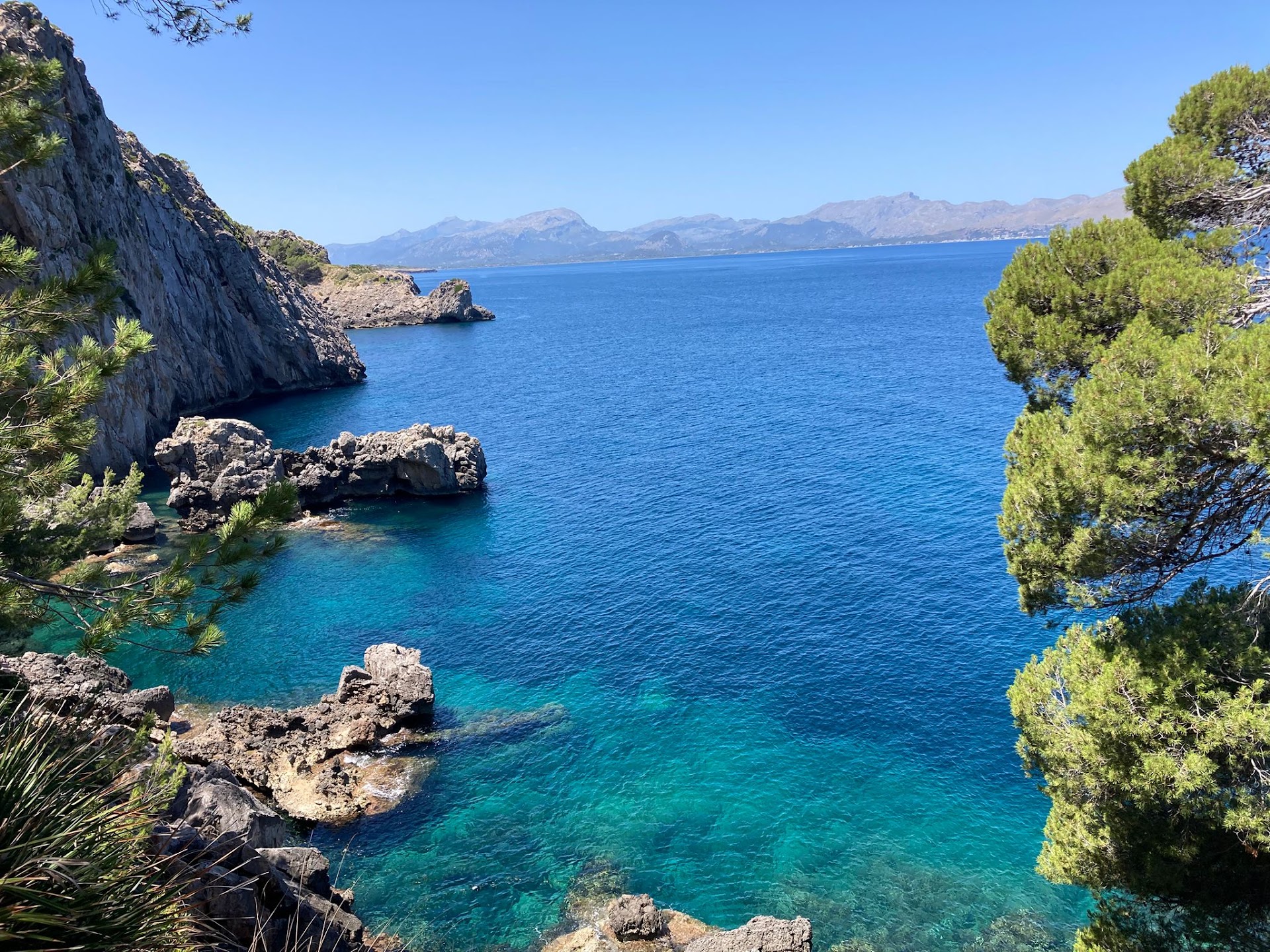 Freediving in Alcúdia photo 2