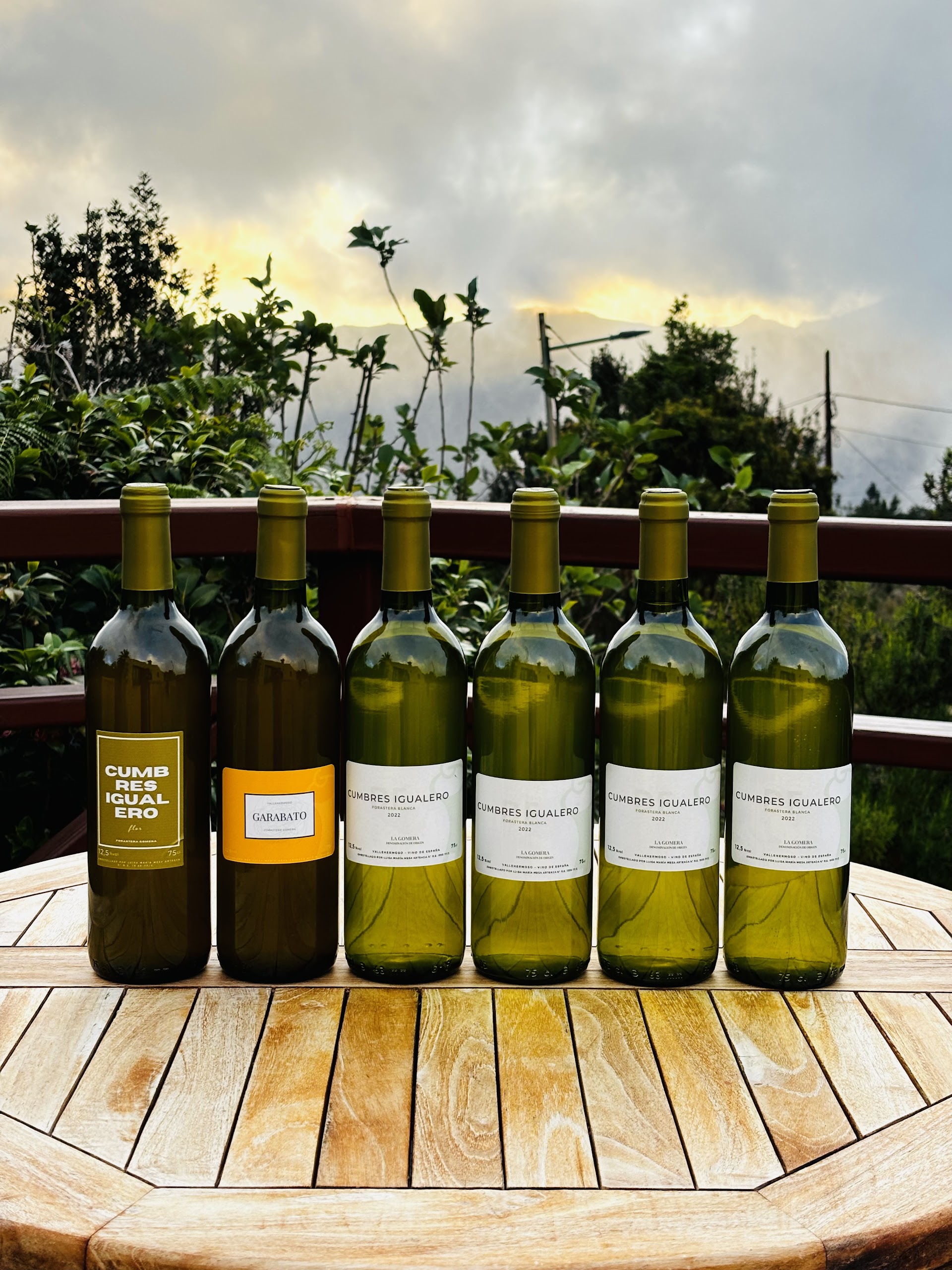 Cumbres de Igualero. Vinos Naturales de Canarias. Forastera Gomera. Cita previa telefónica