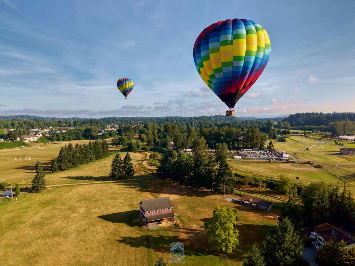Hot Air Balloon in La Caleta photo 5