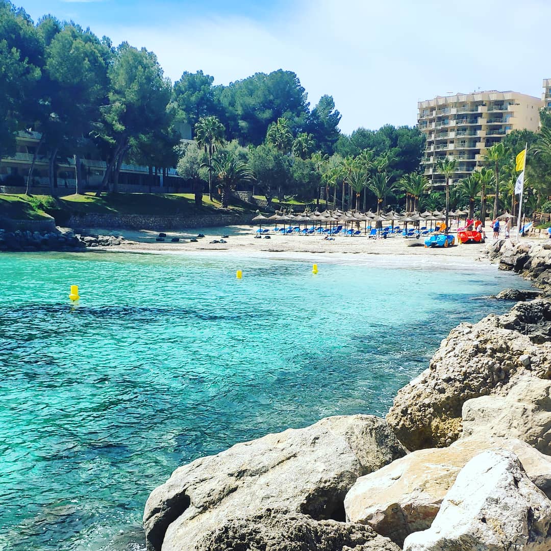 Dolphin Watching in Cala Vinyes photo 1