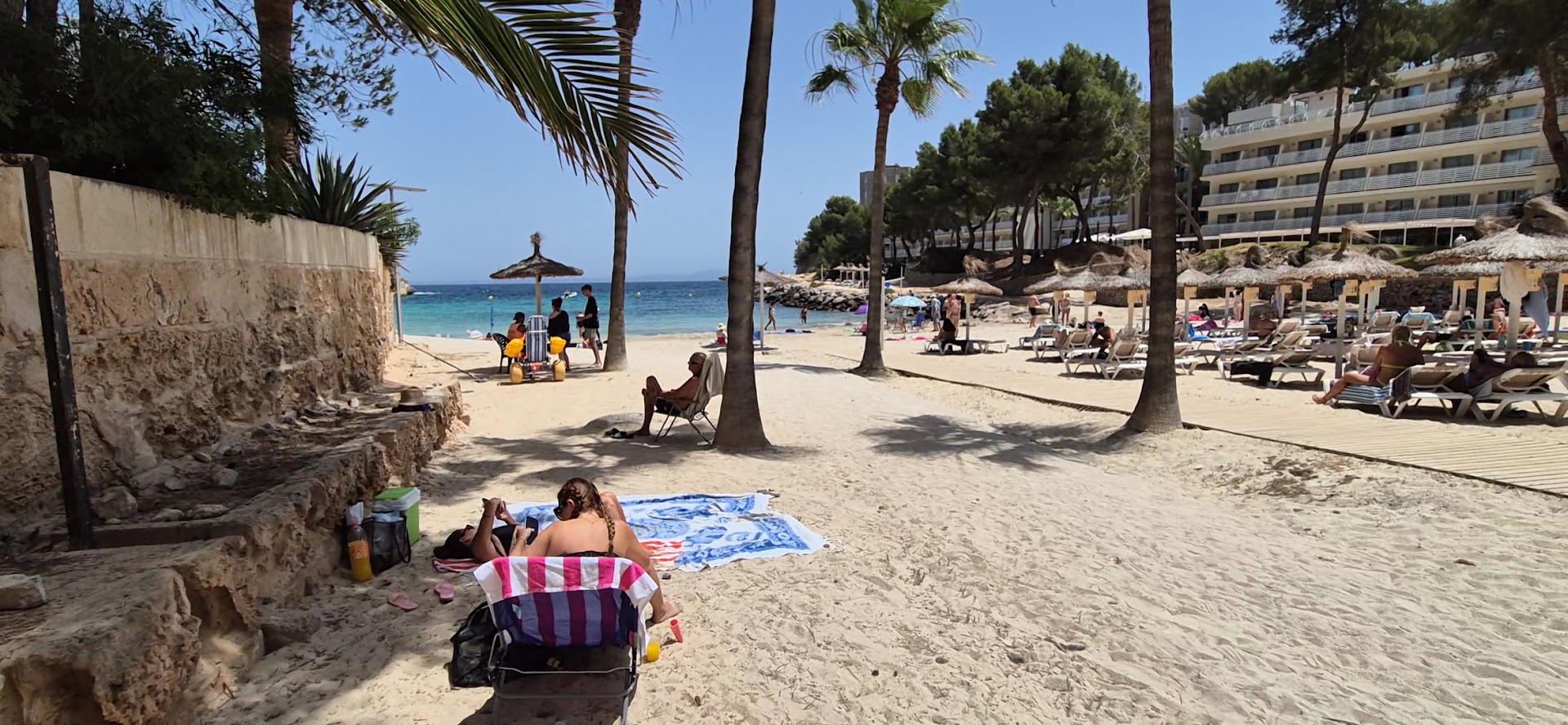 Dolphin Watching in Cala Vinyes photo 2