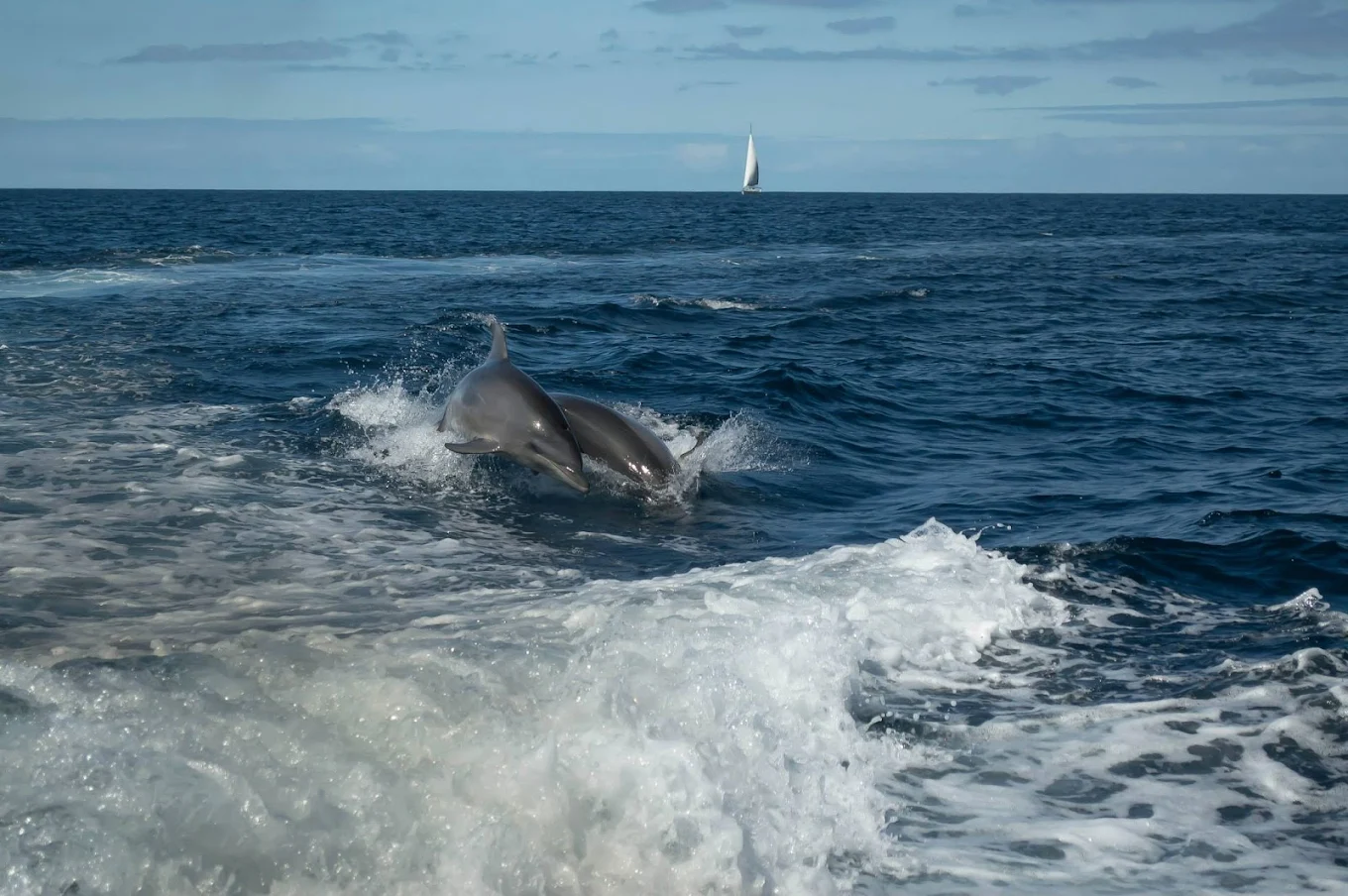 Ocean Blue Tenerife