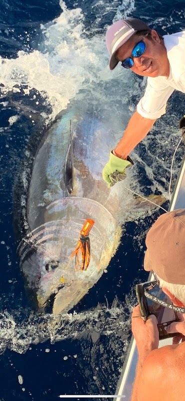 CAVALIER & BLUE MARLIN FISHING CHARTERS