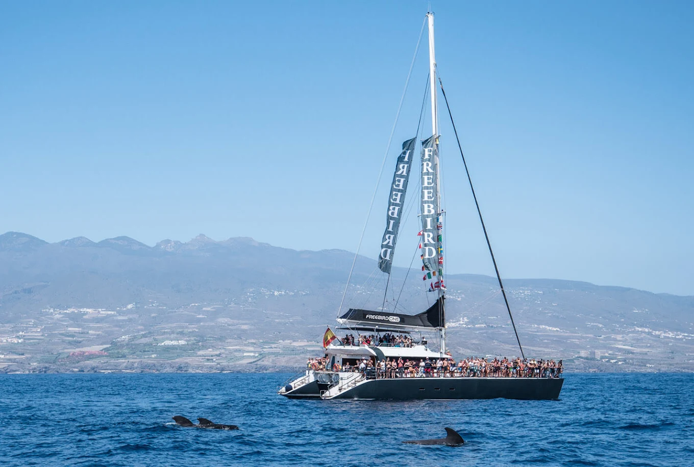 Infotur Tenerife