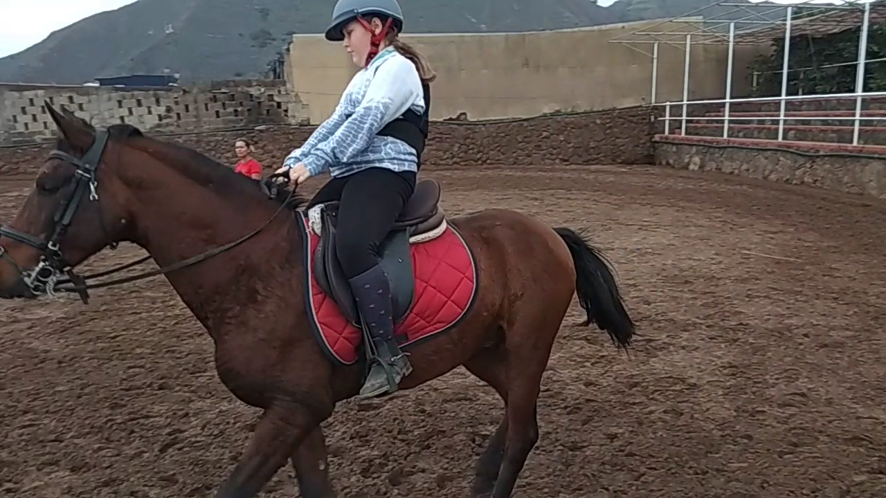Horseback Riding in El Pinar photo 3