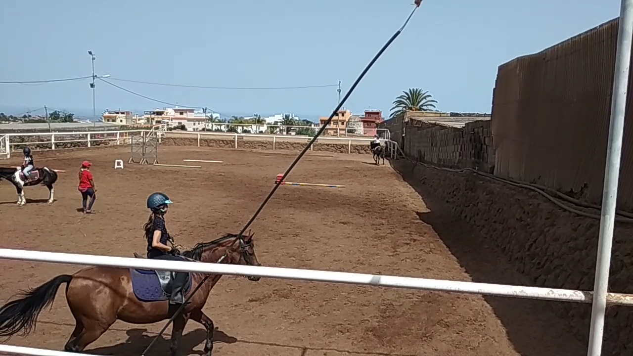 Horseback Riding in El Pinar photo 4
