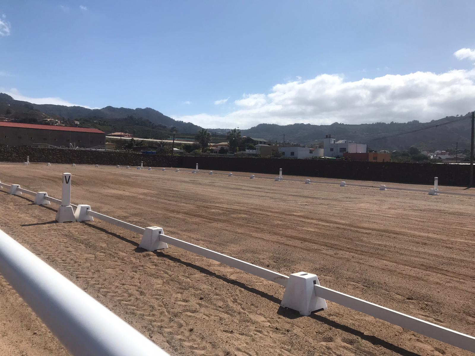 Horseback Riding in El Pinar photo 5