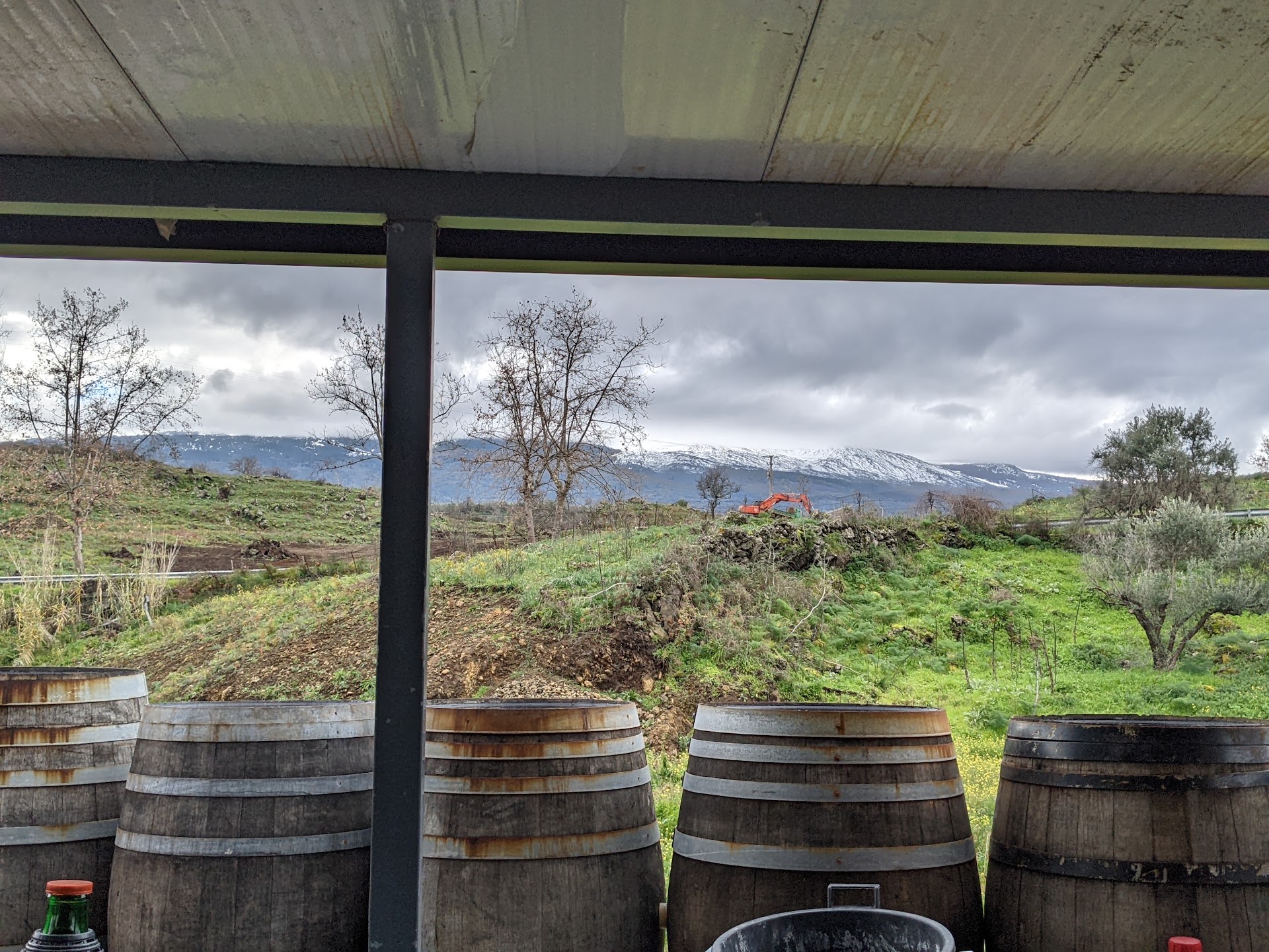 Wine Tasting in Etna photo 1