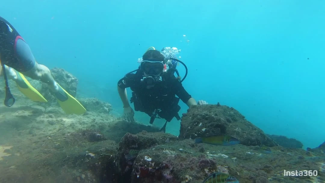 Scuba Courses in Golf del Sur photo 5