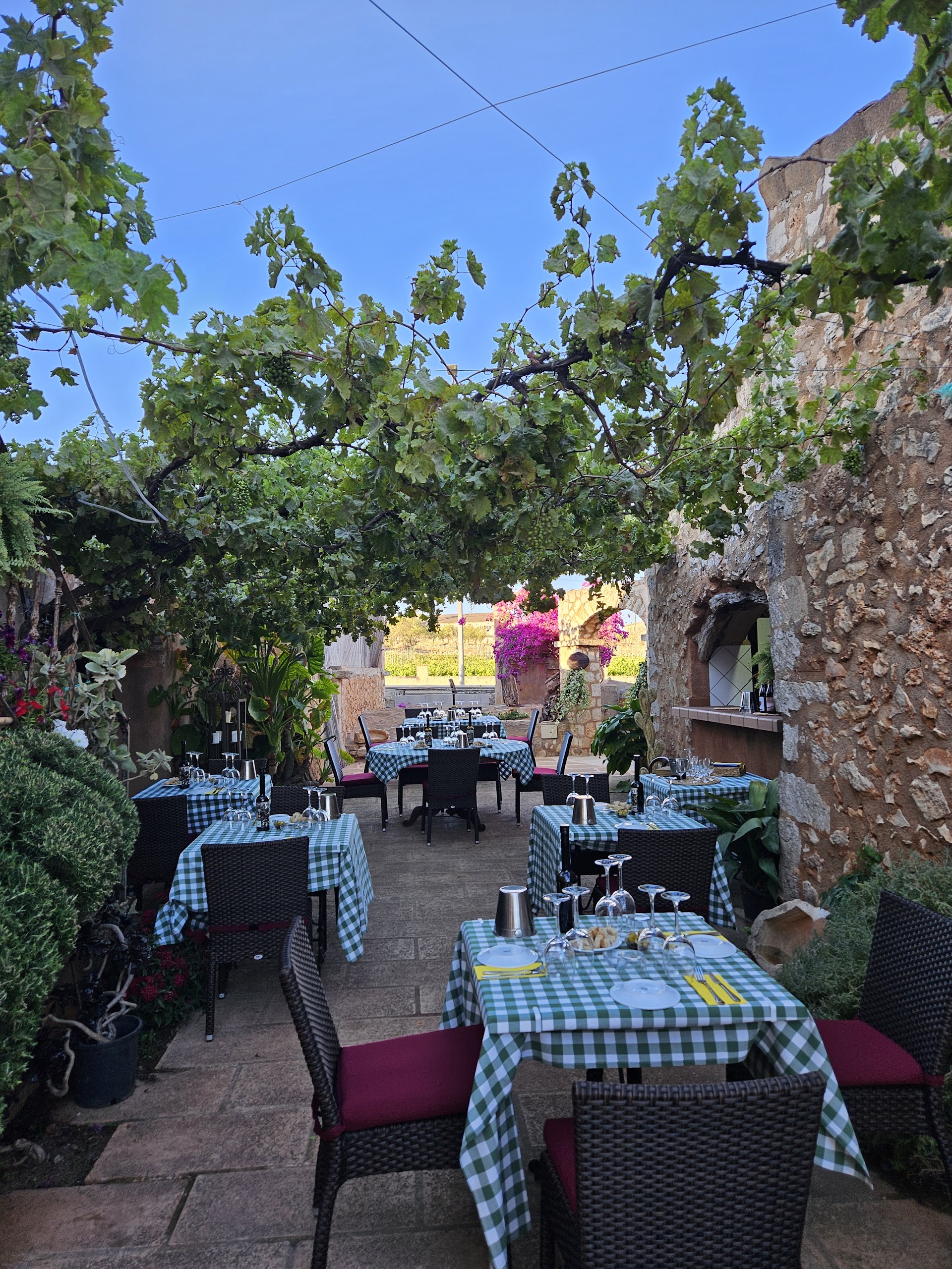 Wine Tasting in Cala Agulla photo 5