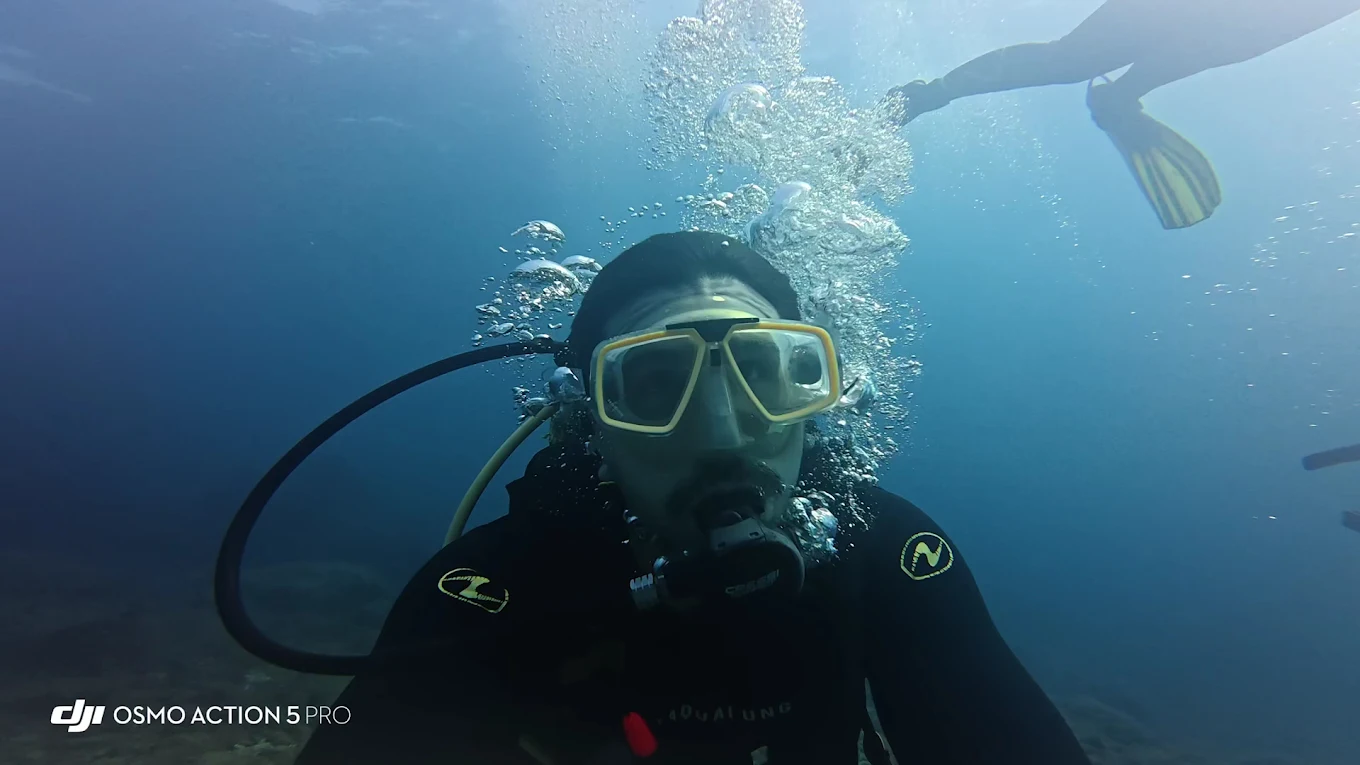 La Tribu Dive Tenerife