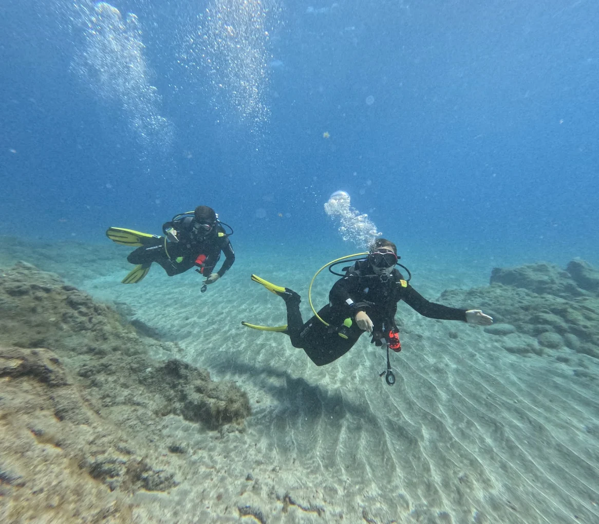 Snorkeling in El Médano photo 5