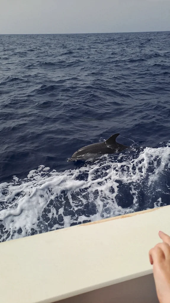 Family Boat Trips in La Laguna photo 3
