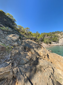 Snorkeling in Cala Nova photo 4