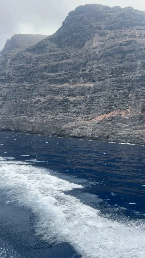 Kayaking & Paddleboarding in Los Gigantes photo 2