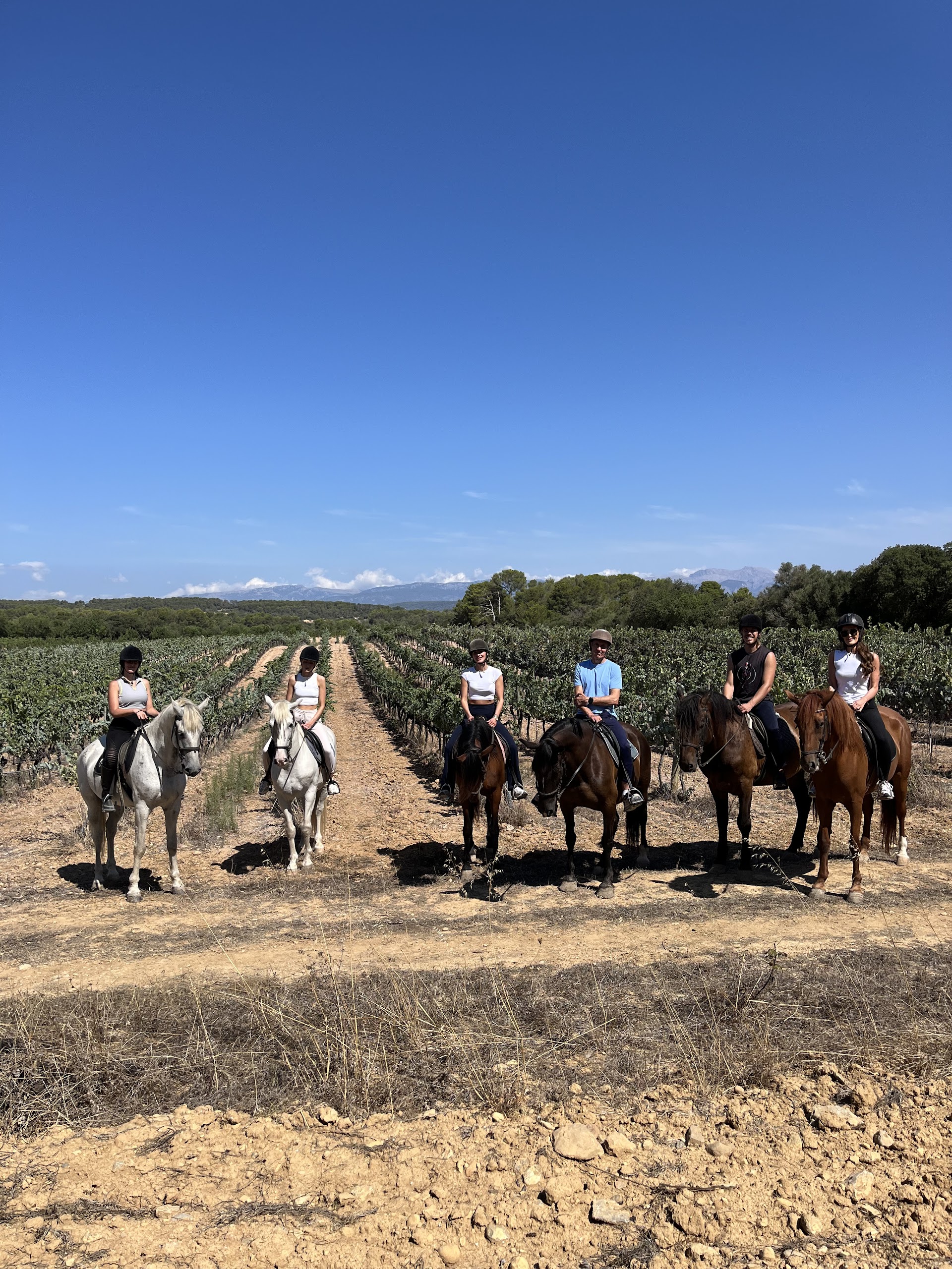 Horseback Riding in Palma photo 1