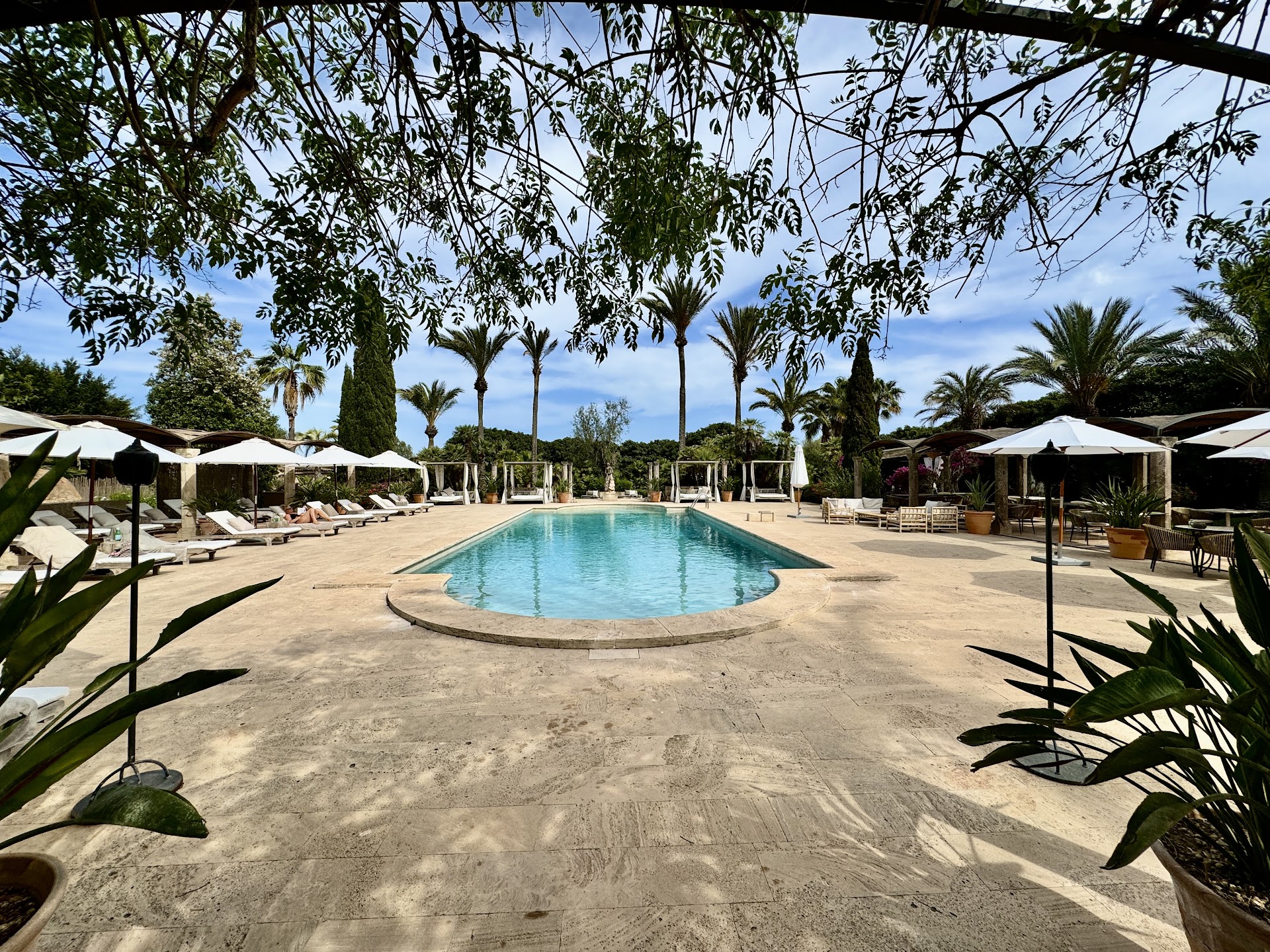 Wellness Retreat in Cala San Vicente photo 5