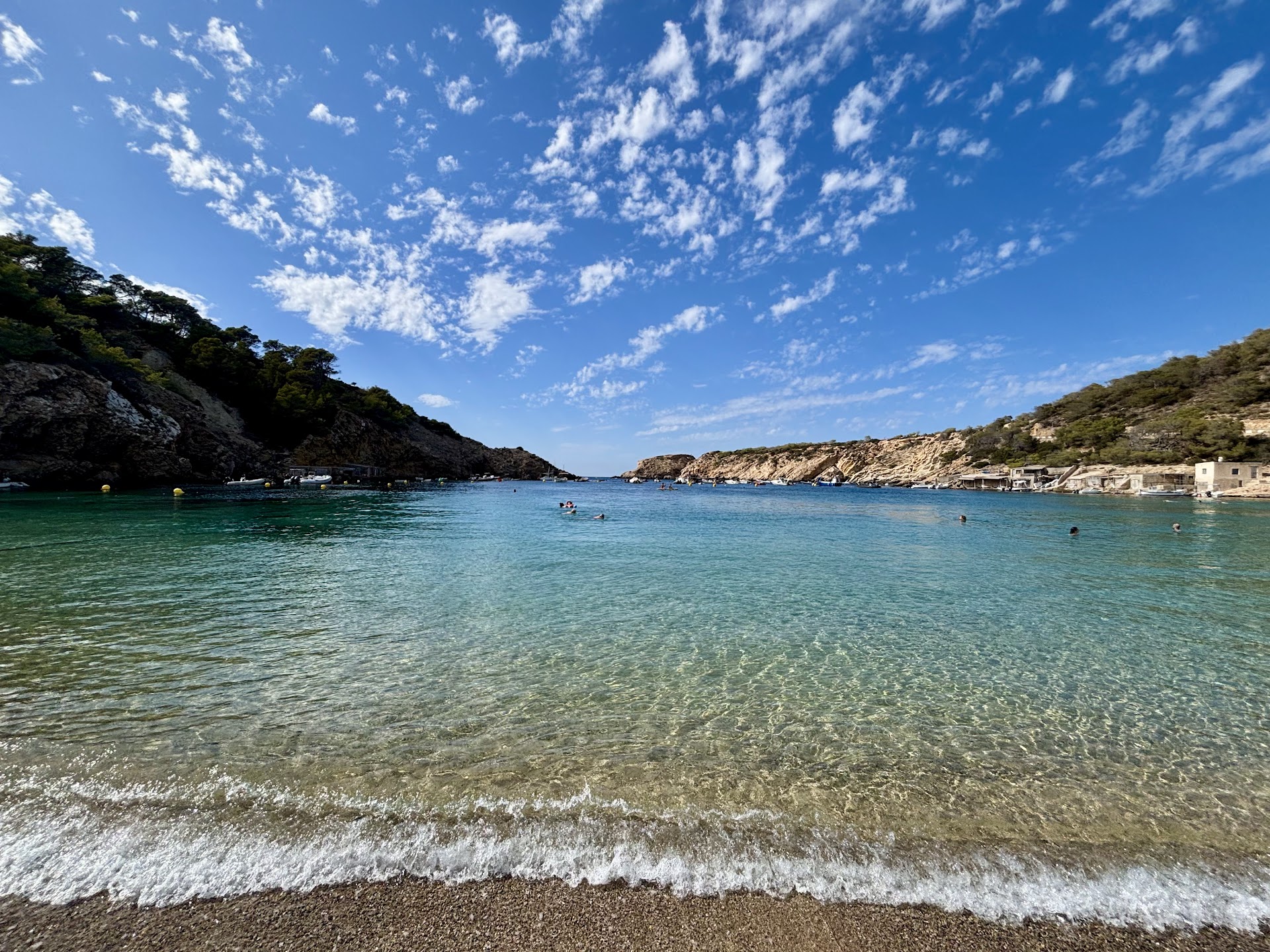 Whale Watching in Cala Vadella photo 1