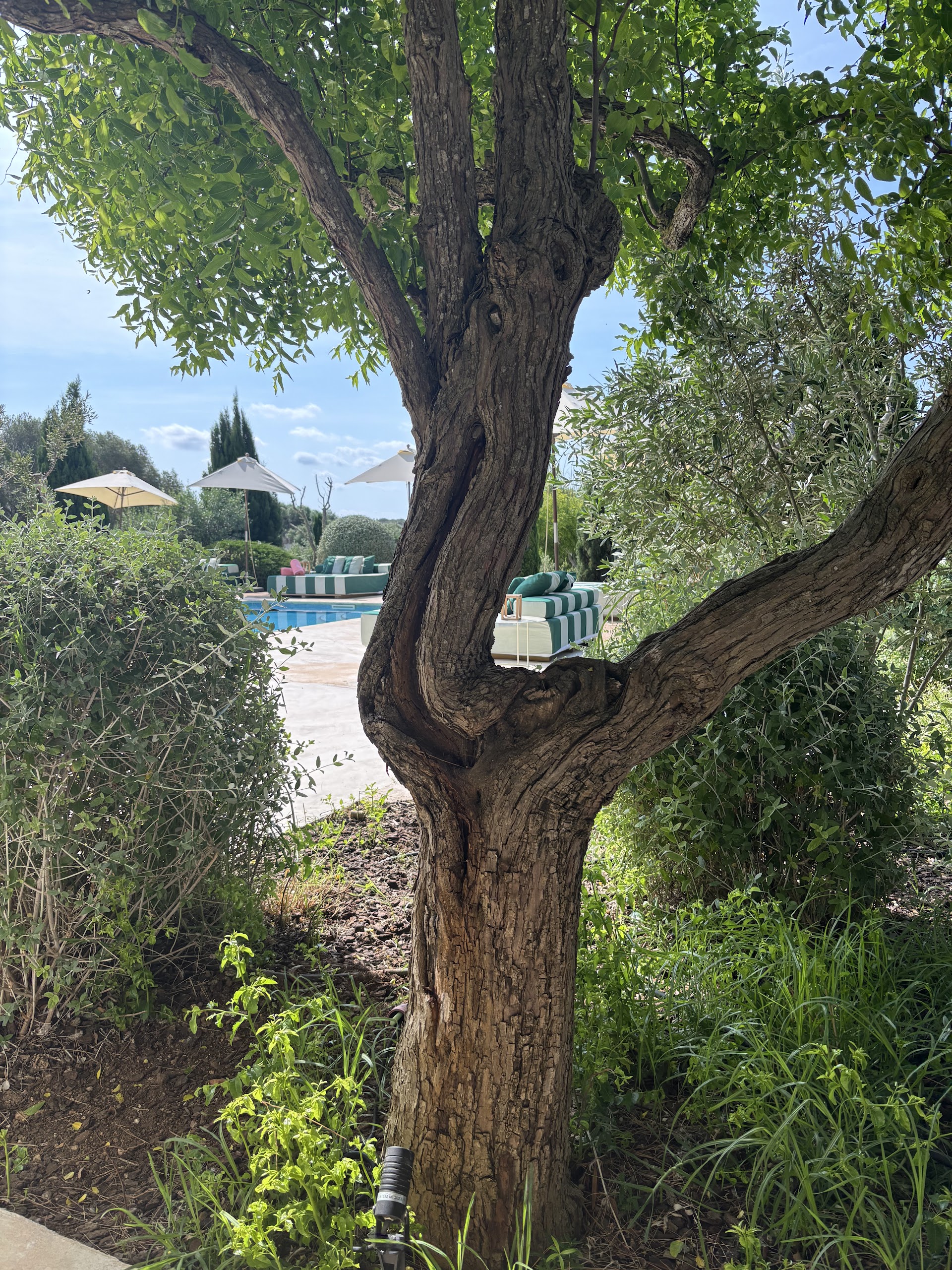 Wellness Retreat in Cala Galdana photo 2