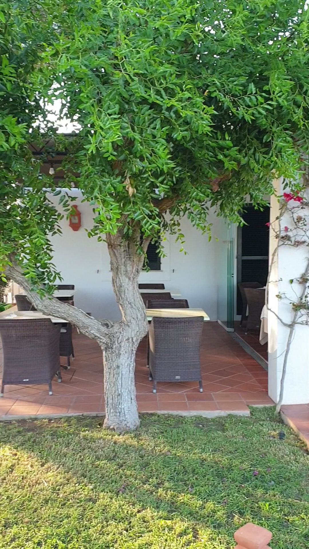 Wellness Retreat in Cala Galdana photo 3
