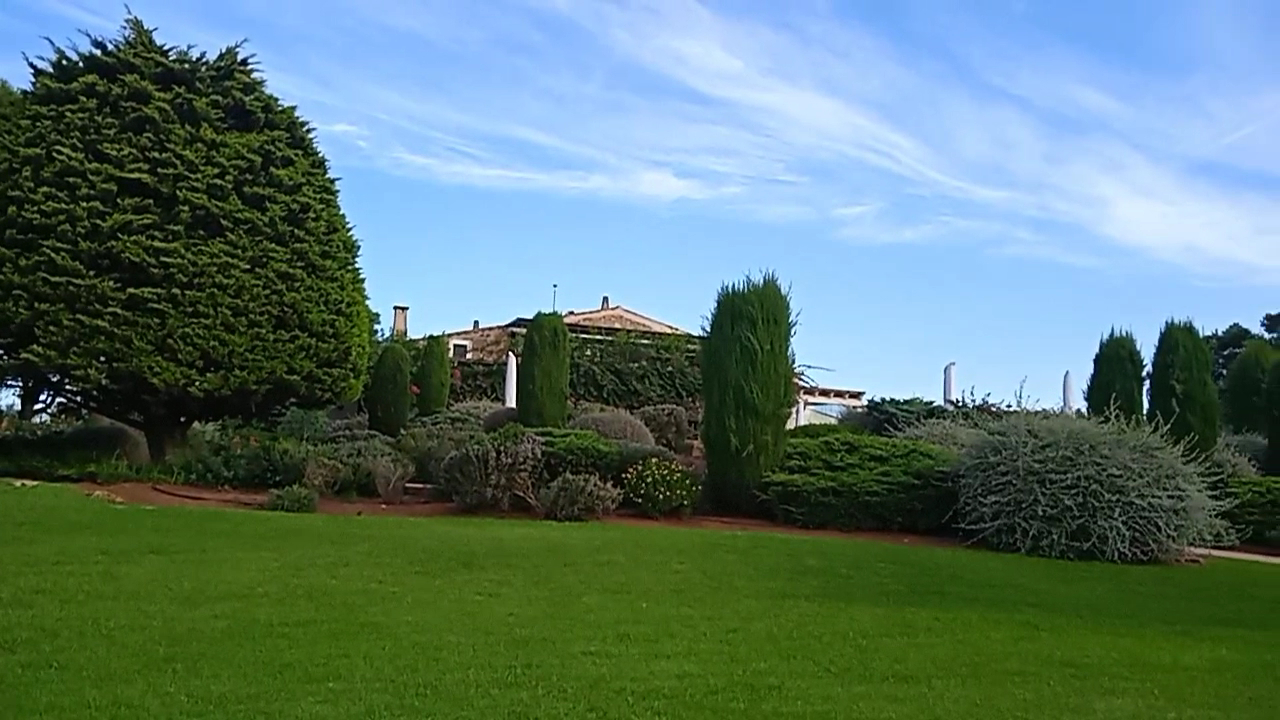 Wellness Retreat in Cala Galdana photo 5