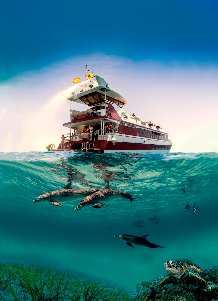Book Now - Sunset Dolphins Cruise