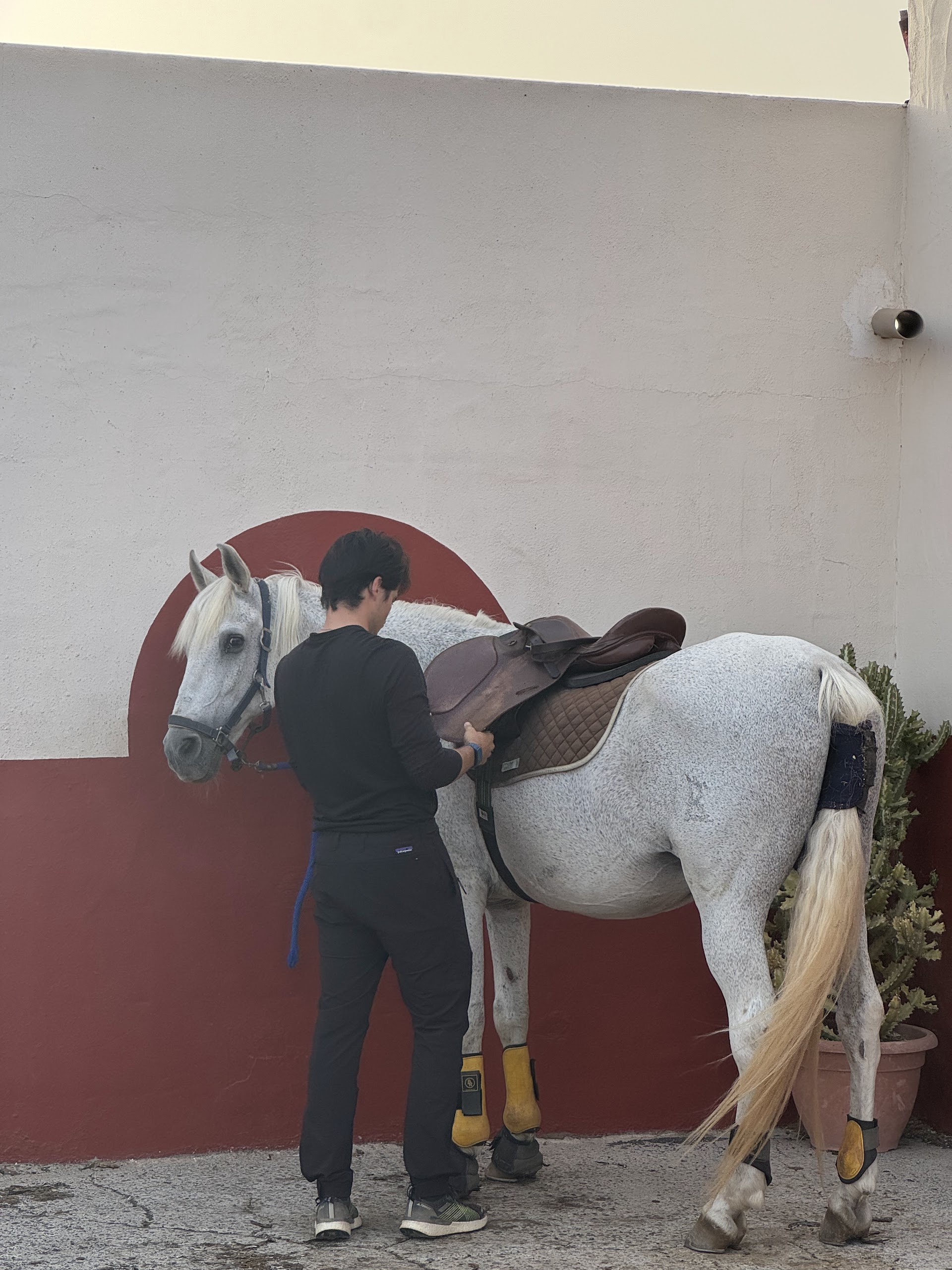 Horseback Riding in Yaiza photo 2