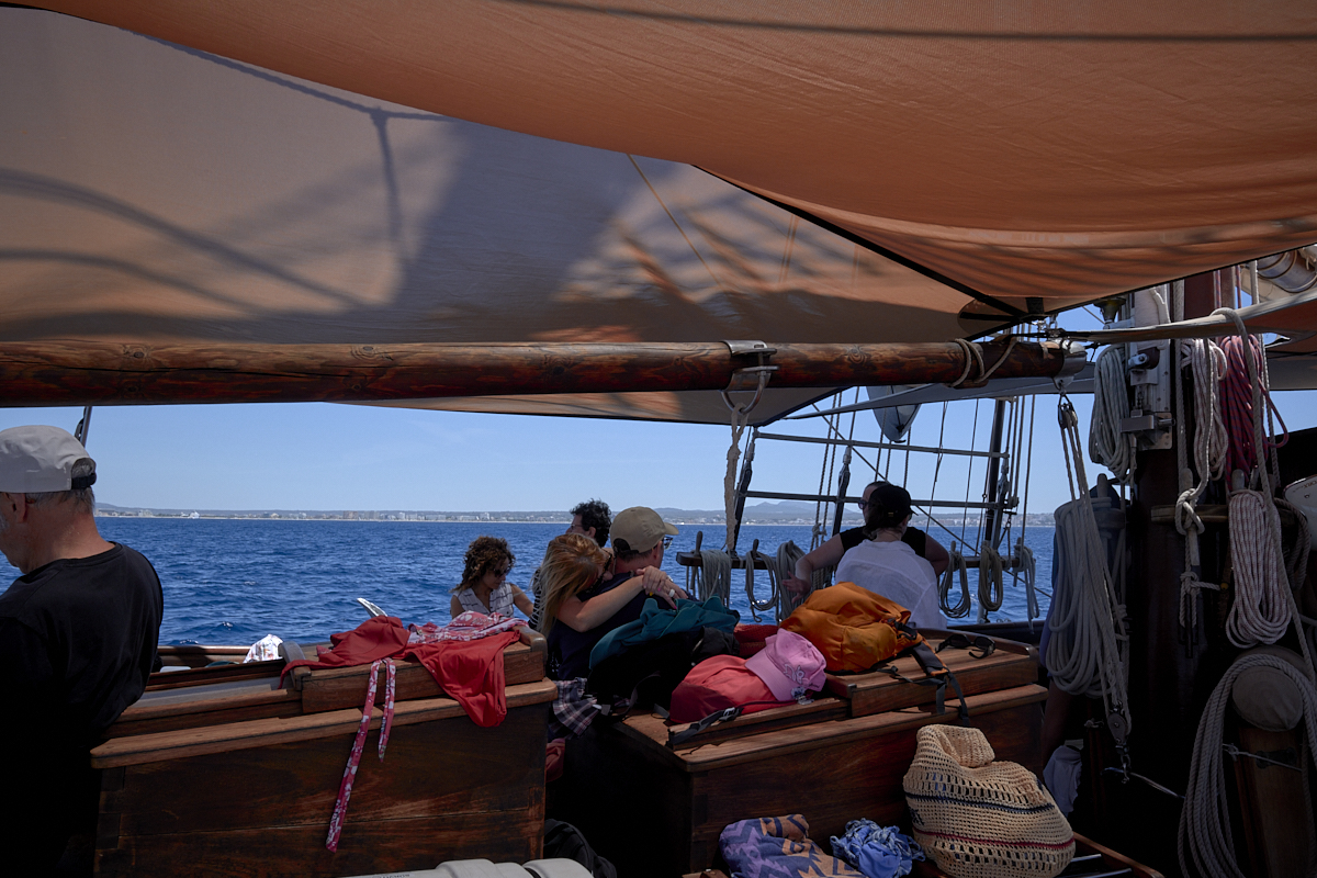 Whale Watching in Palma photo 2