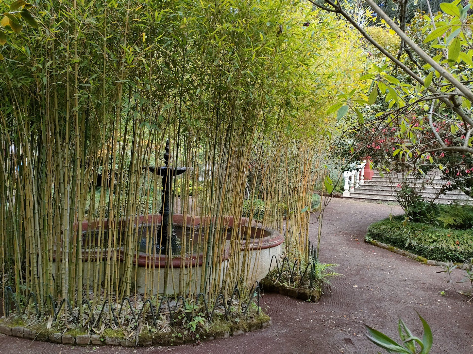 Finca de Osorio