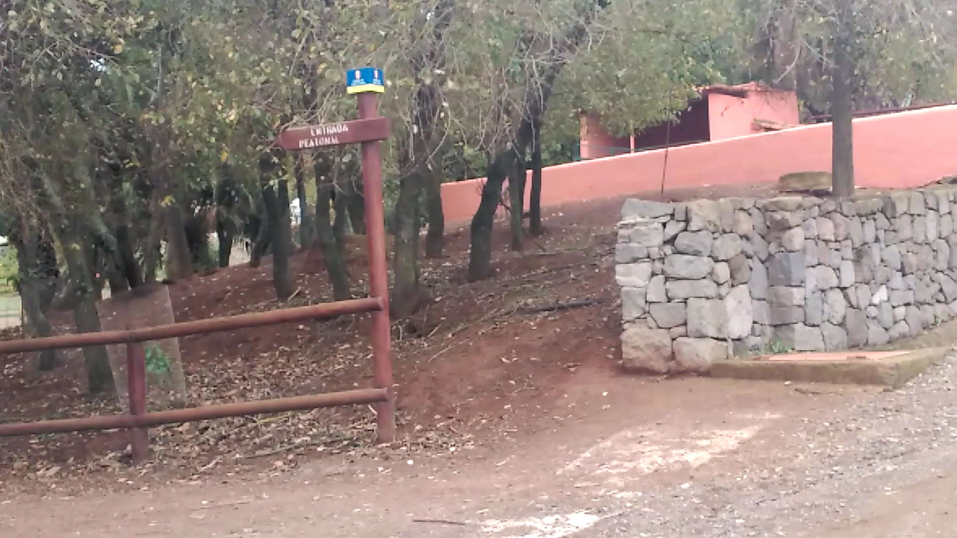 Volcano Tours in Teror photo 3