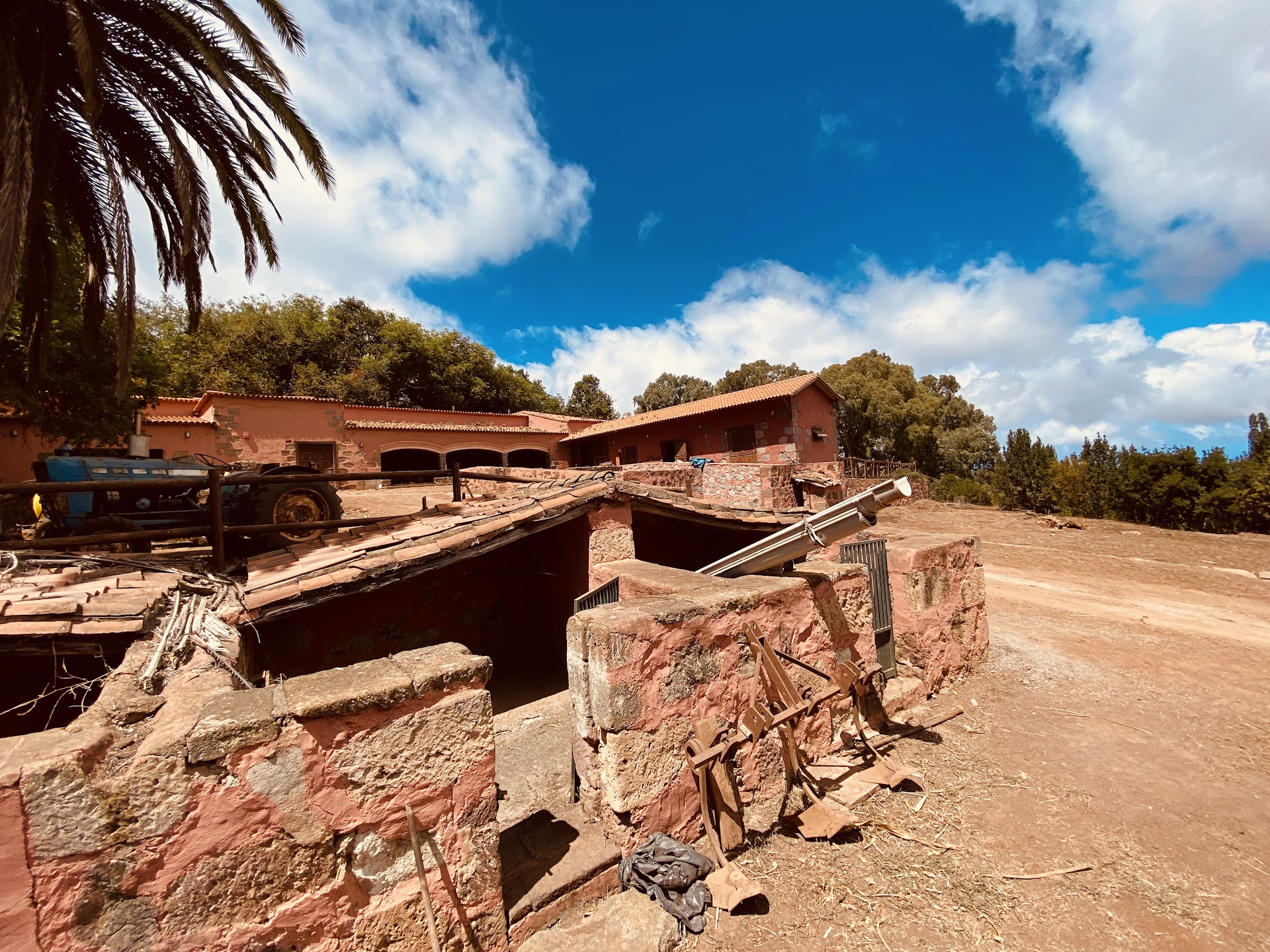 Volcano Tours in Teror photo 4