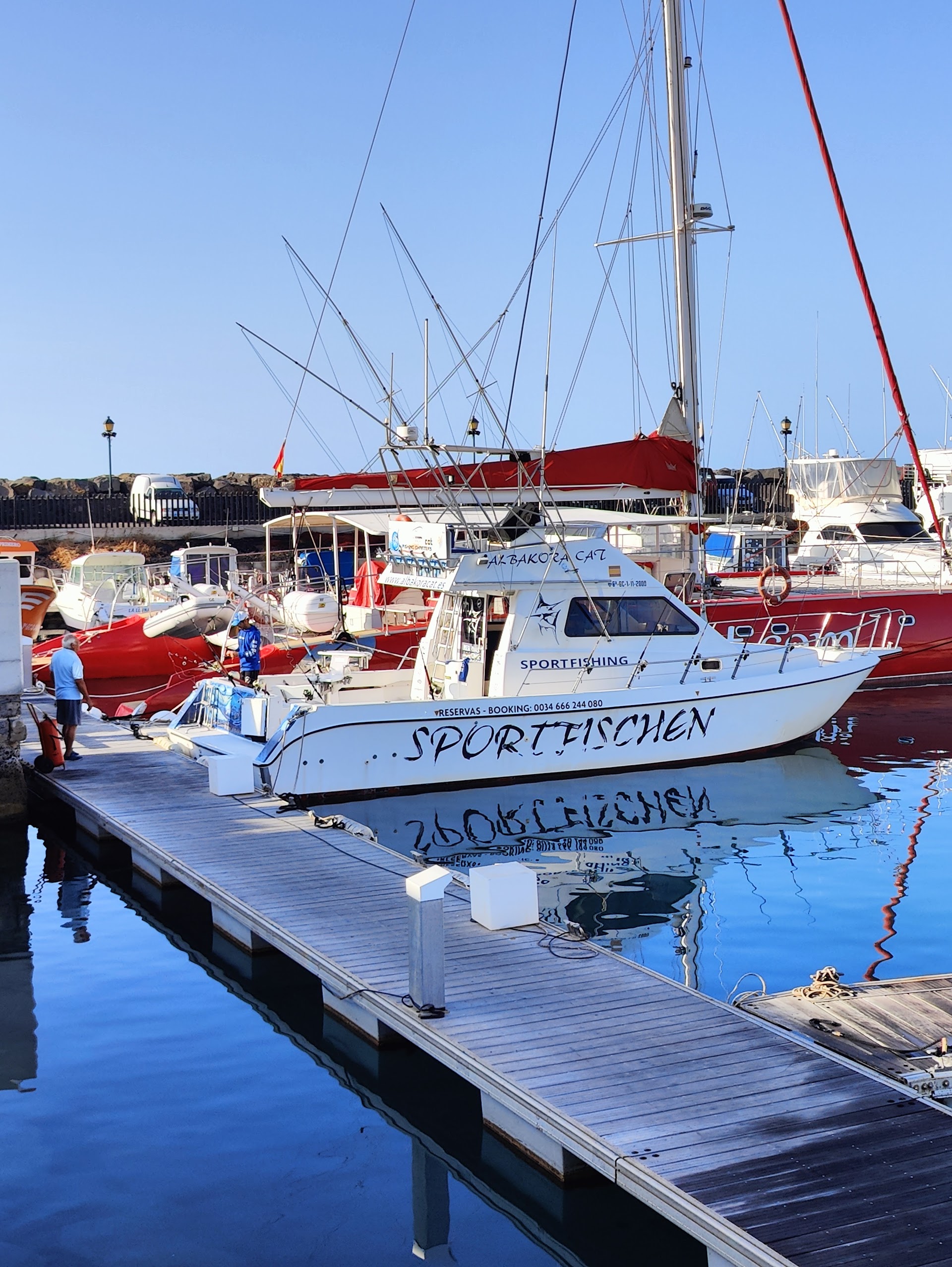 Excursions Fuerteventura