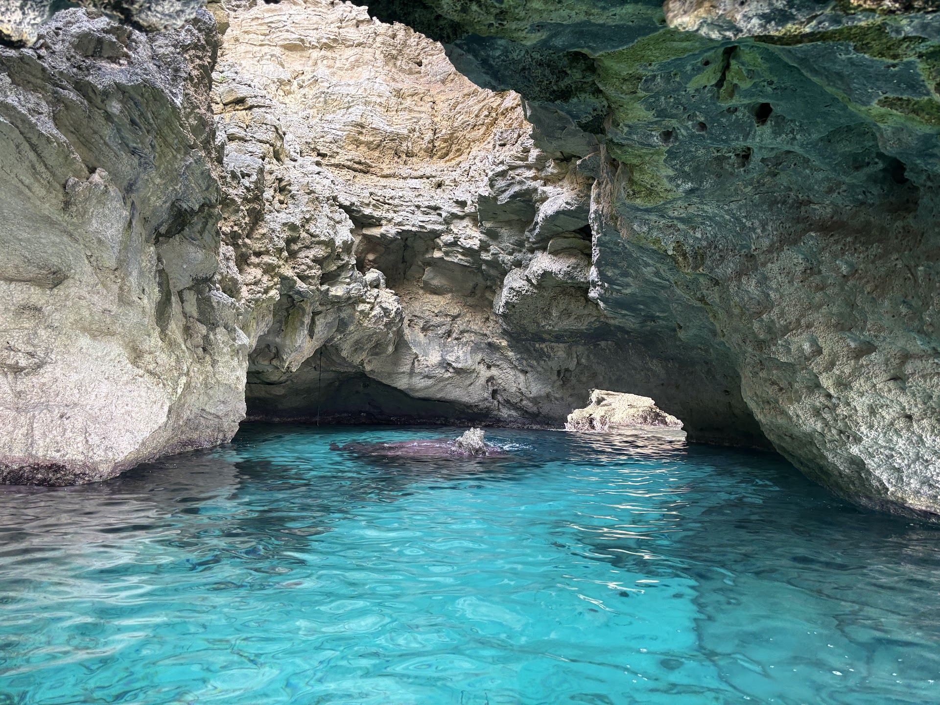 Island Hopping Tour in Cala Saona photo 1