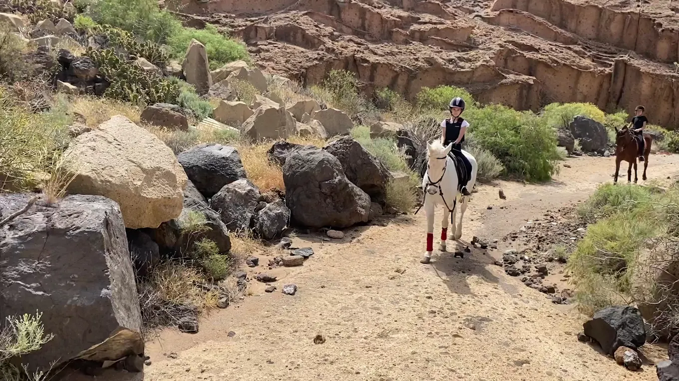 Hípica Cuadras El Médano ( Centro hípico, Horse riding, Reitausflüge)