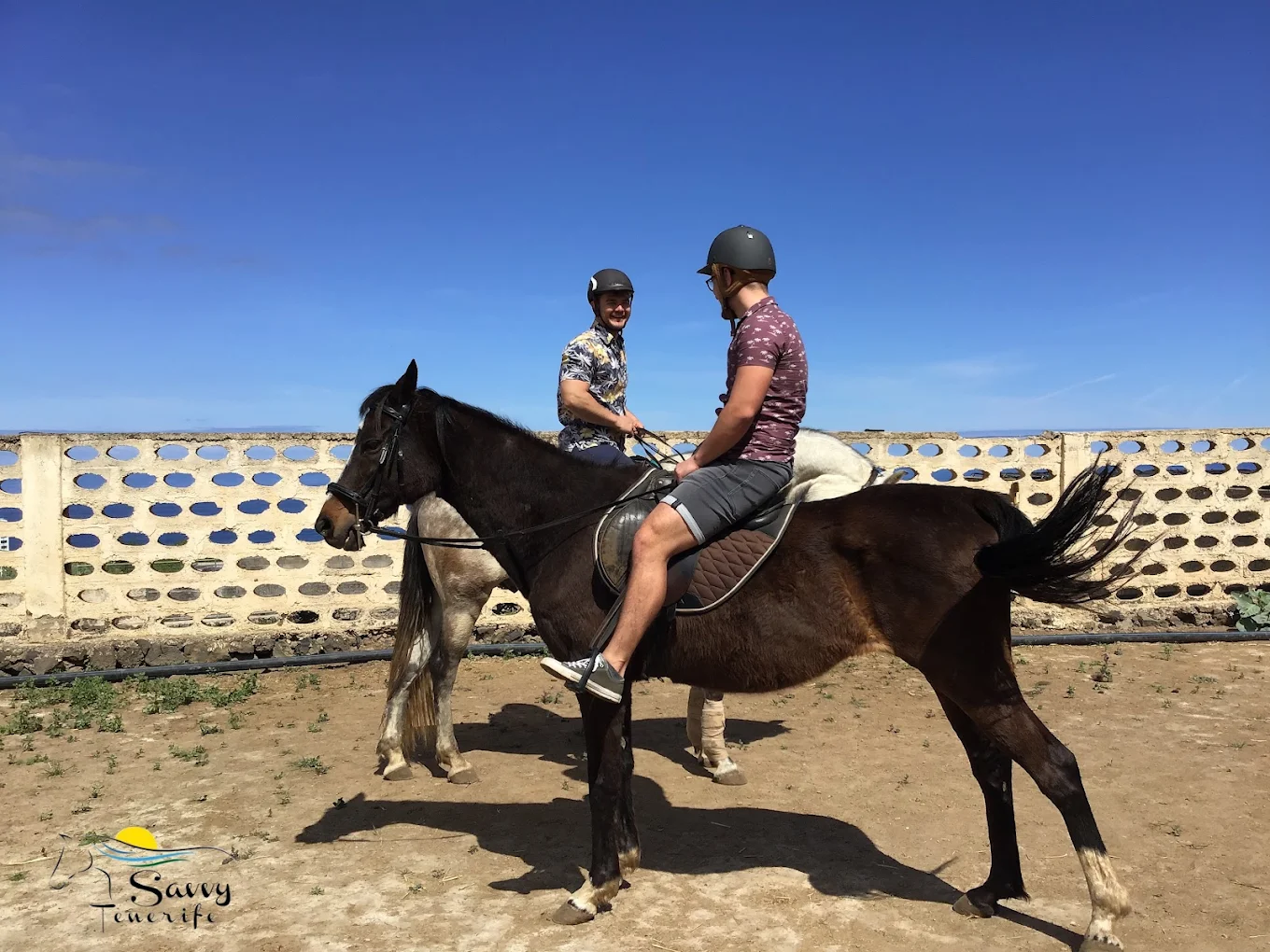 Horse and pony riding / Reiten / Rutas y paseos a caballo y poni Savvy Tenerife