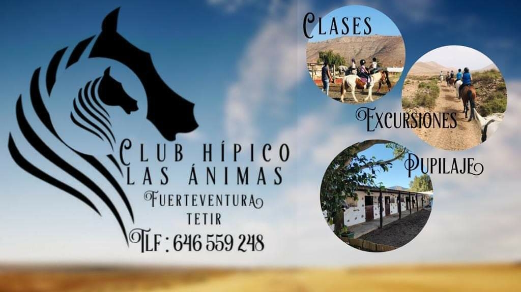 Club hipico las Animas