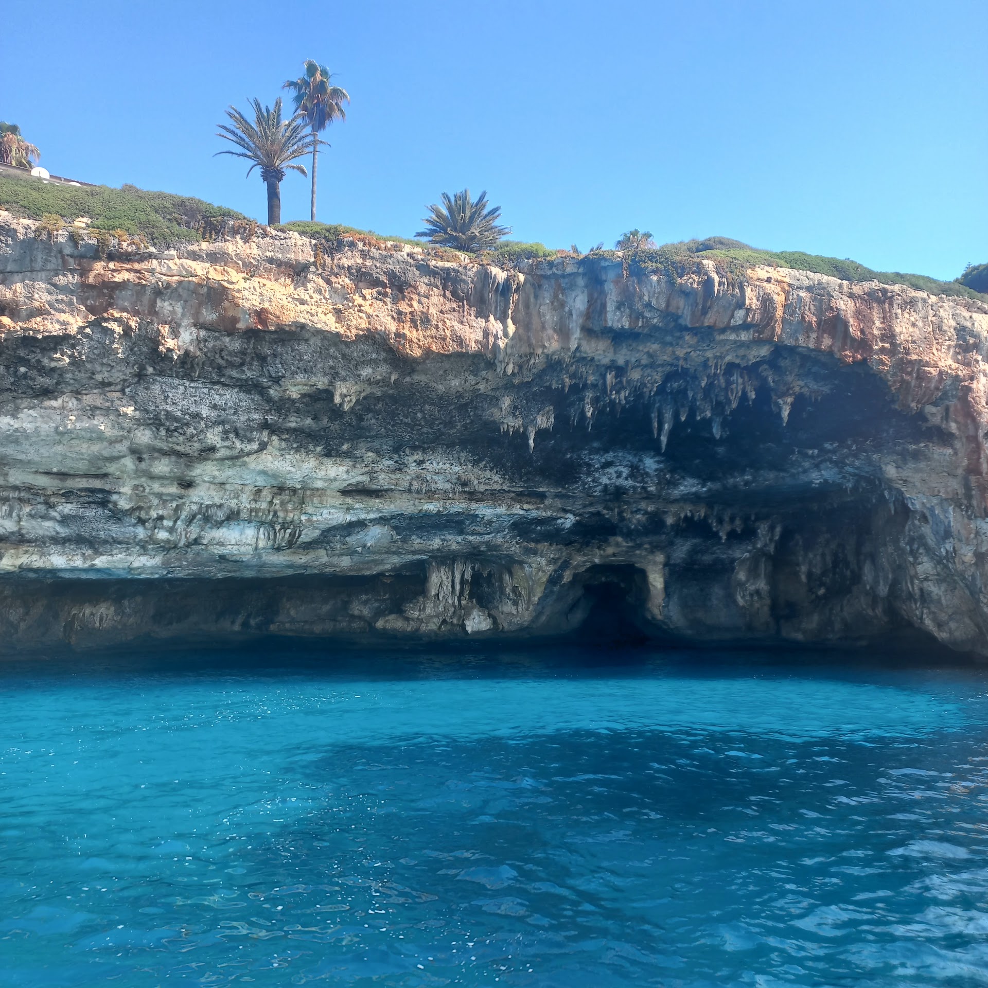 Glass Bottom Boat in Cala Mesquida photo 1