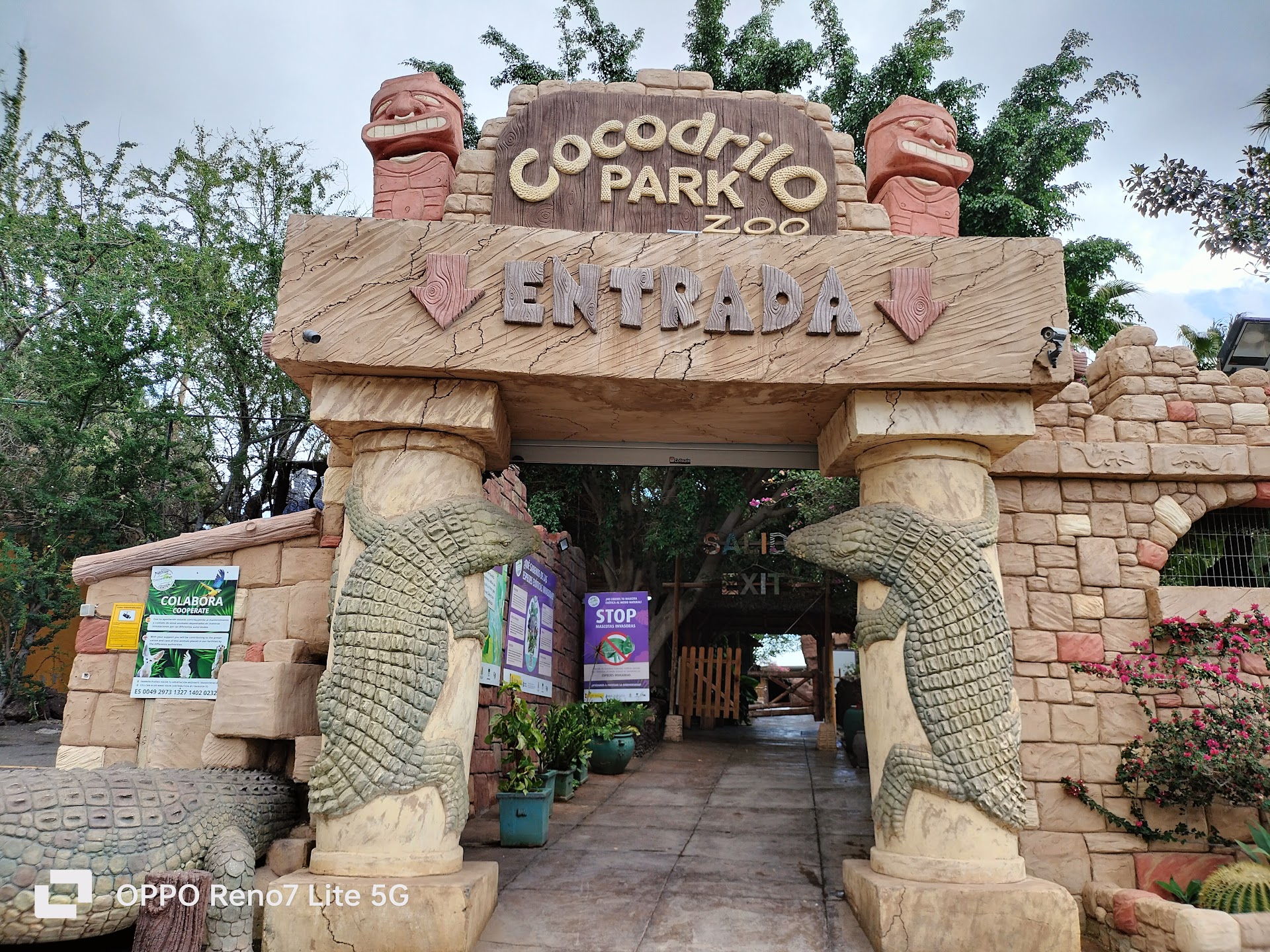 Cocodrilo Park Gran Canaria