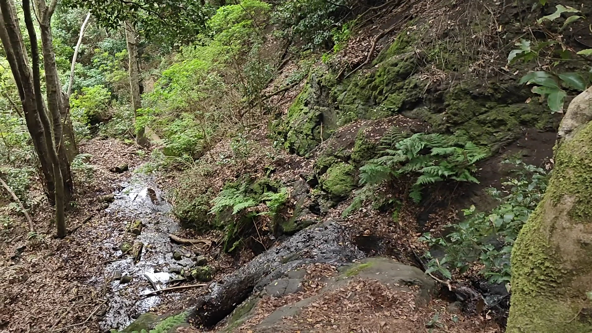 Hermigua Hiking photo 2