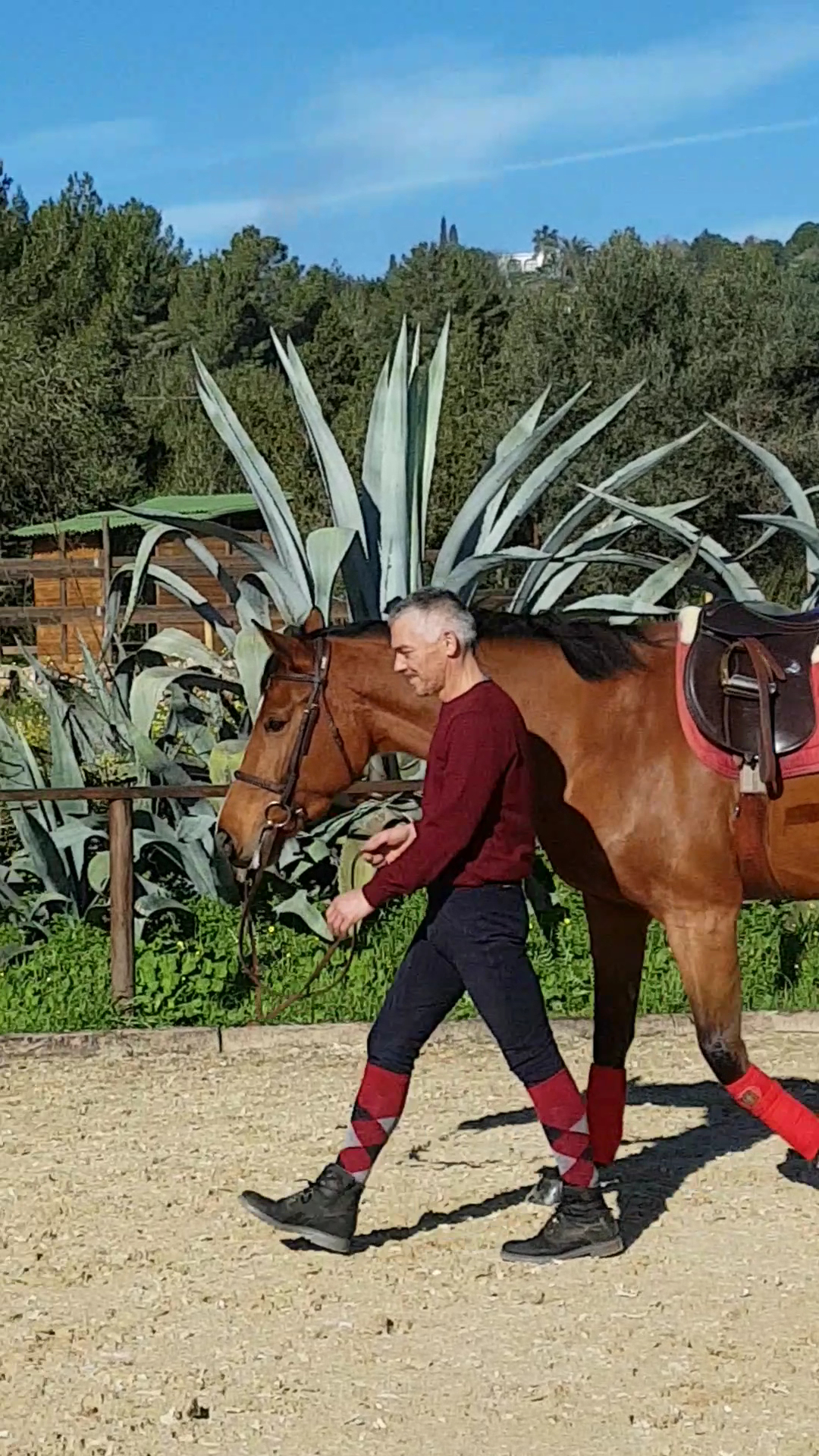Horseback Riding in San Antonio photo 3