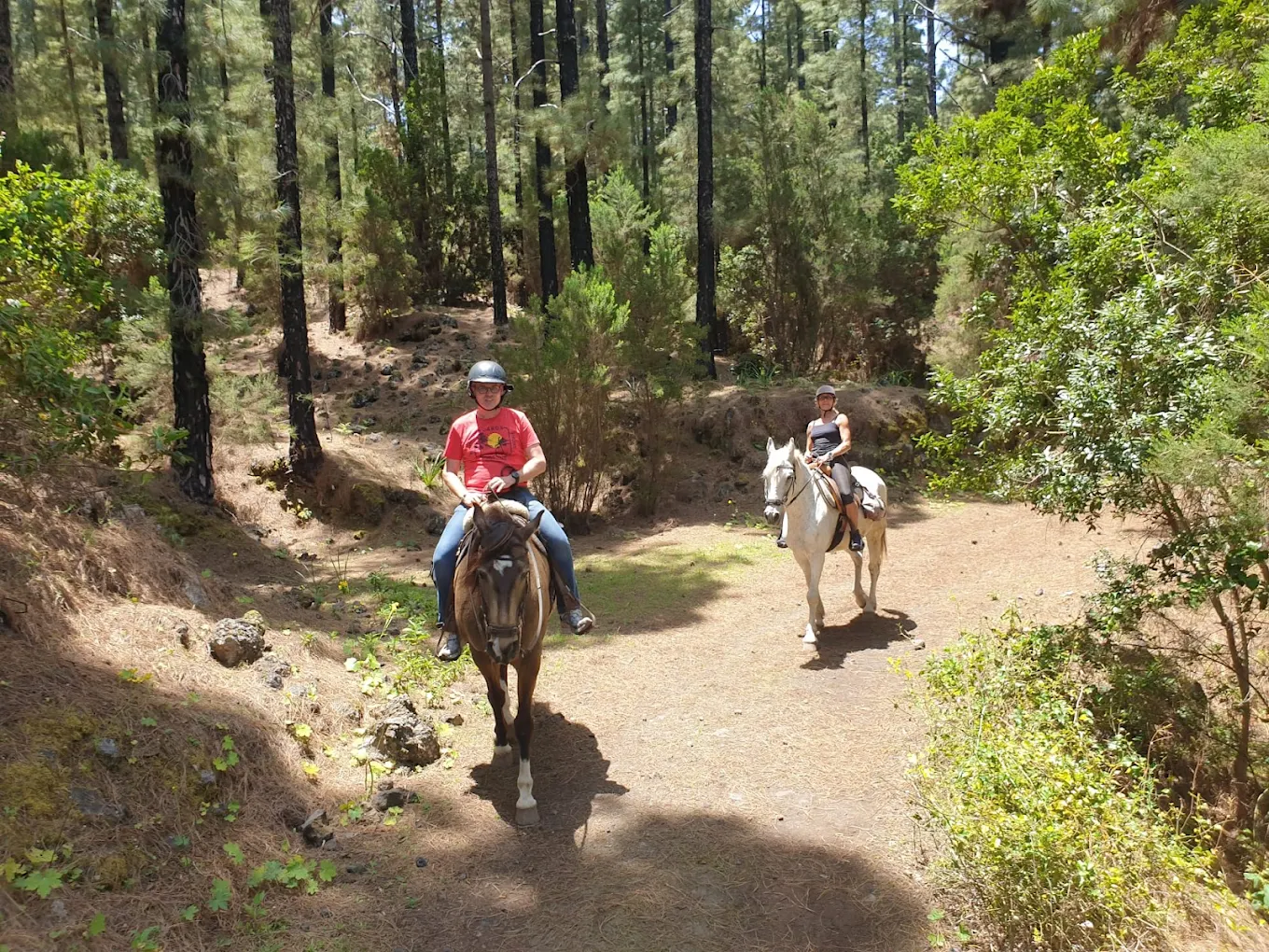Horseback Riding in Puerto de la Cruz photo 2