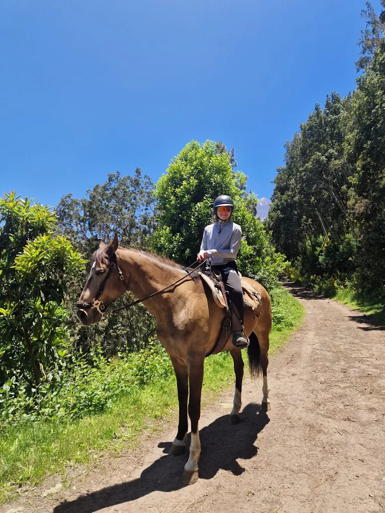 Horseback Riding in Puerto de la Cruz photo 5