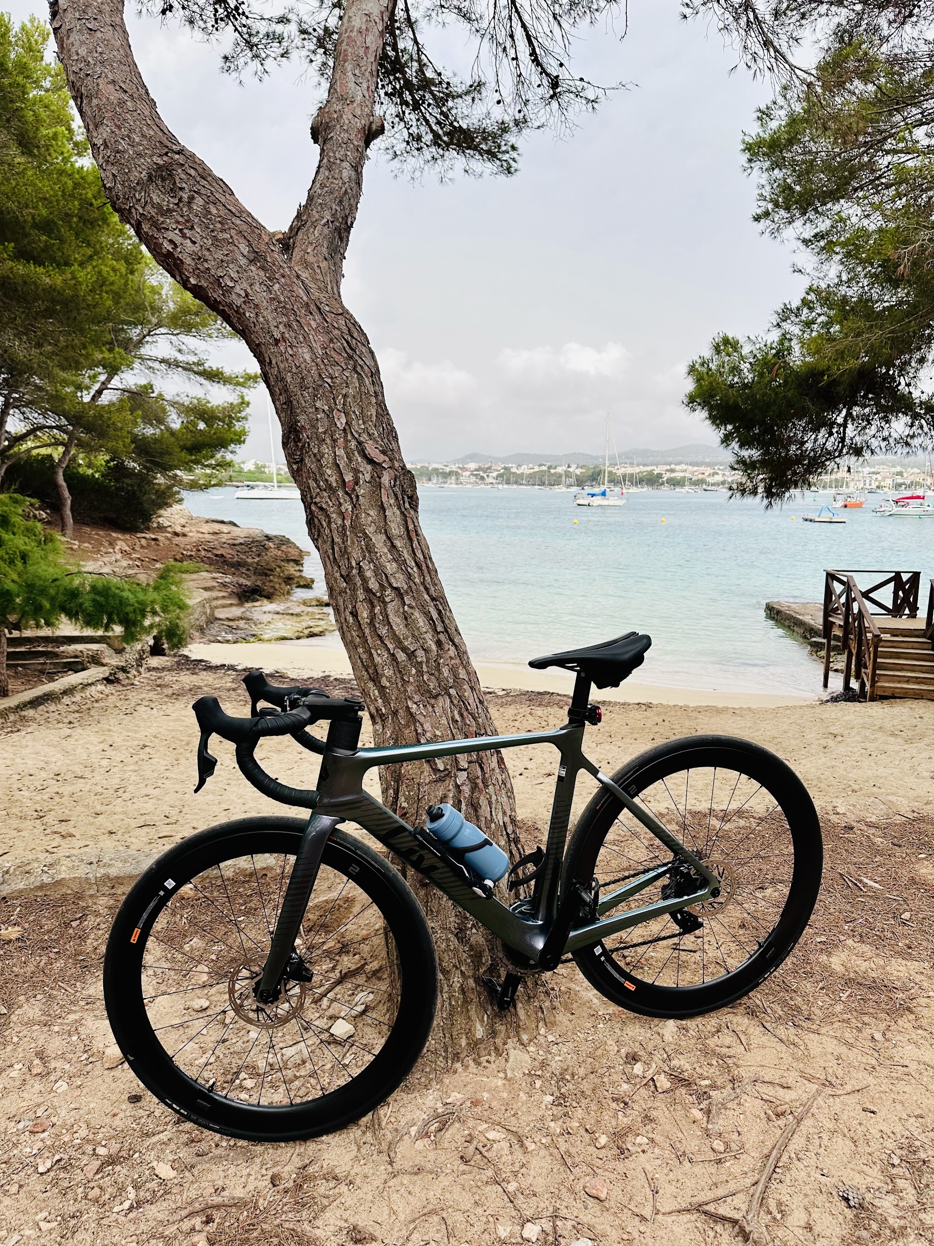 Danilo Hondo Bike Center Cala d'Or
