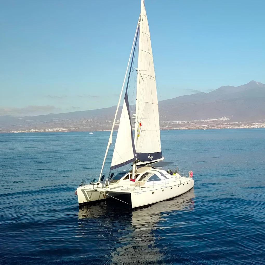 Island Hopping Tour in La Caleta photo 5